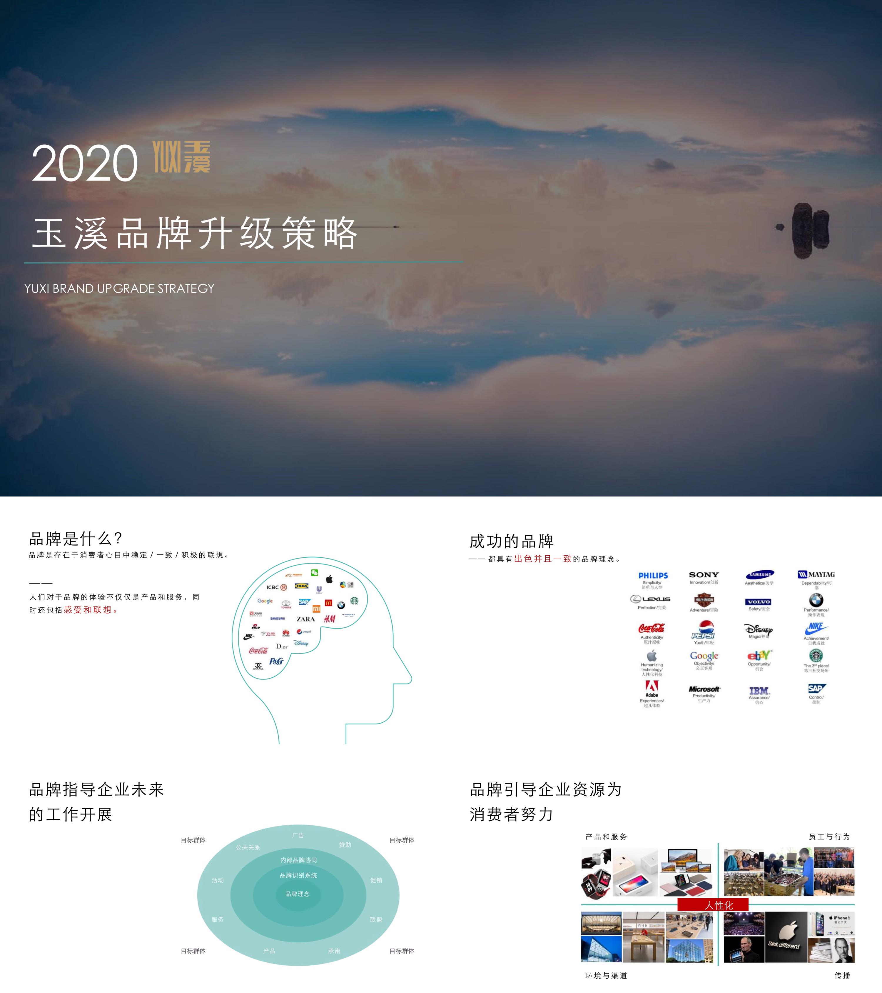 2020玉溪品牌升级策略方案