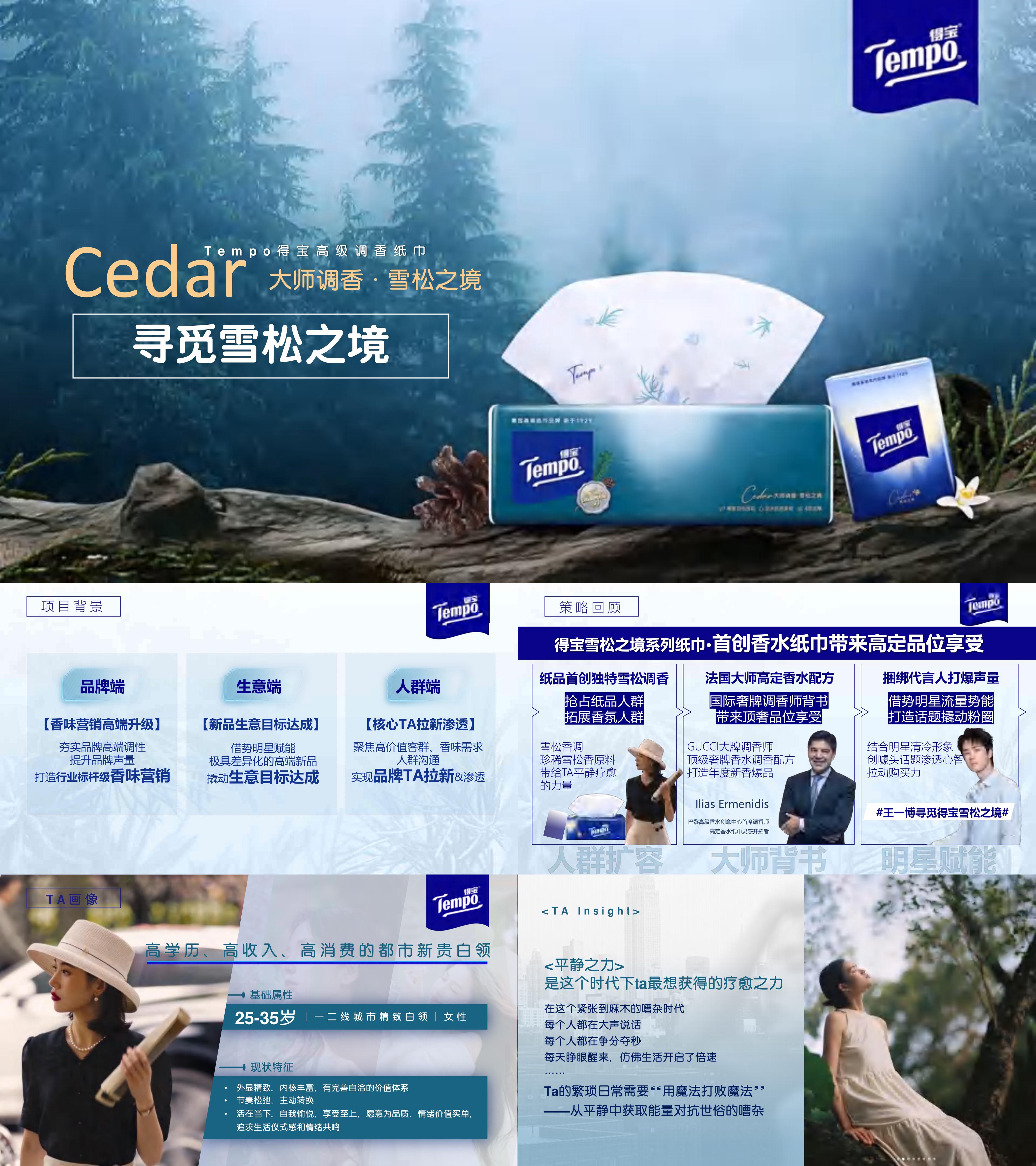 快消得宝纸巾雪松传播方案