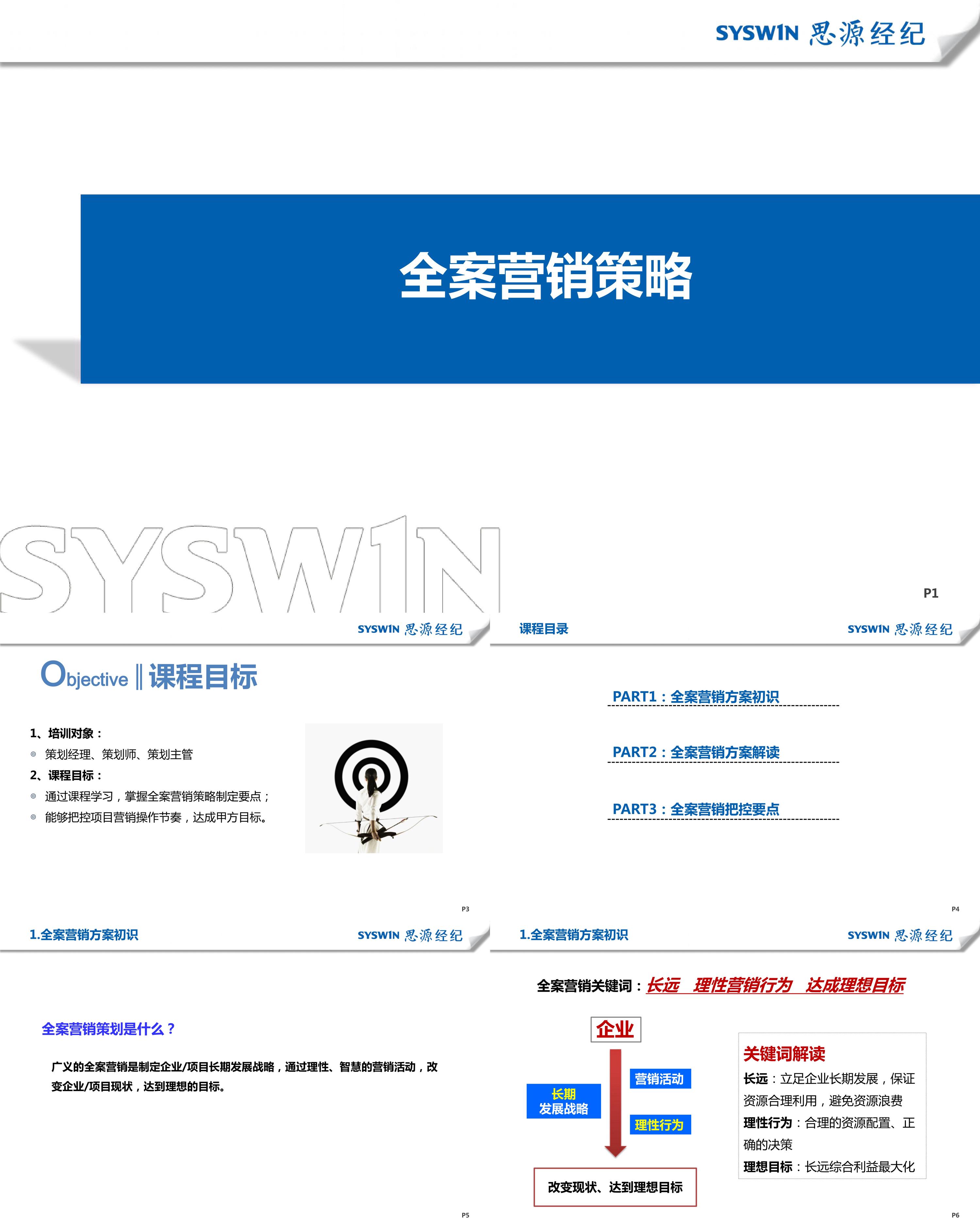 全案营销策略专题