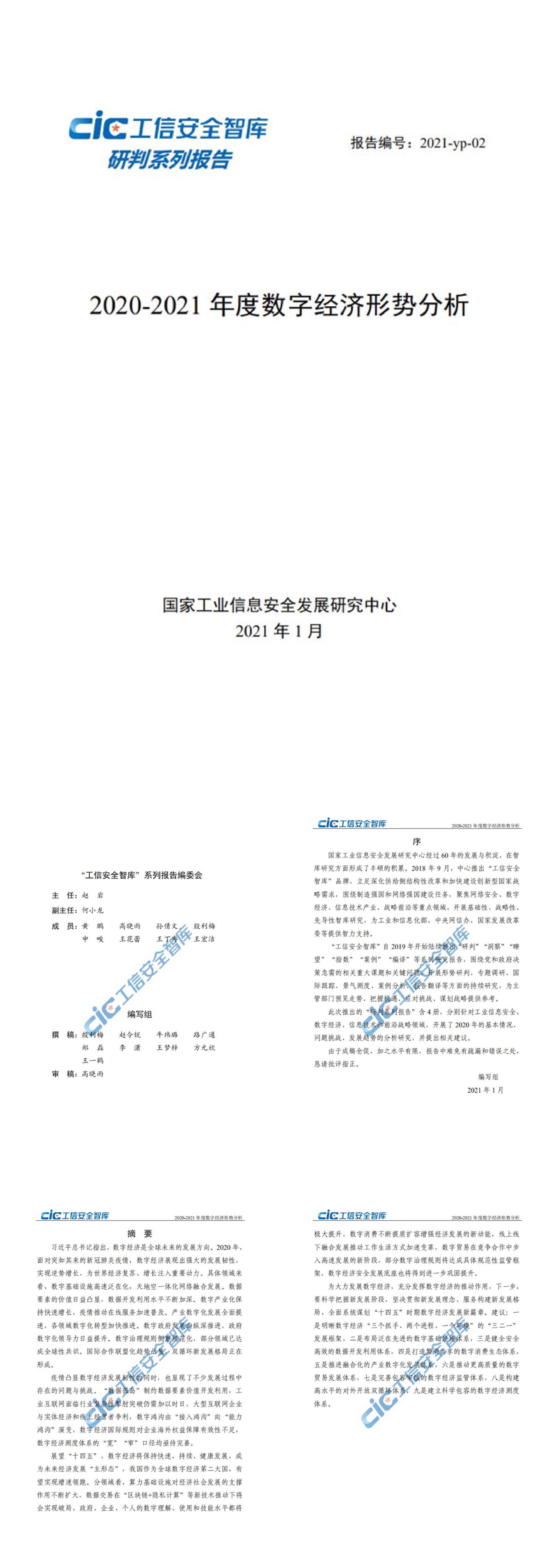 年度数字经济形势分析报告