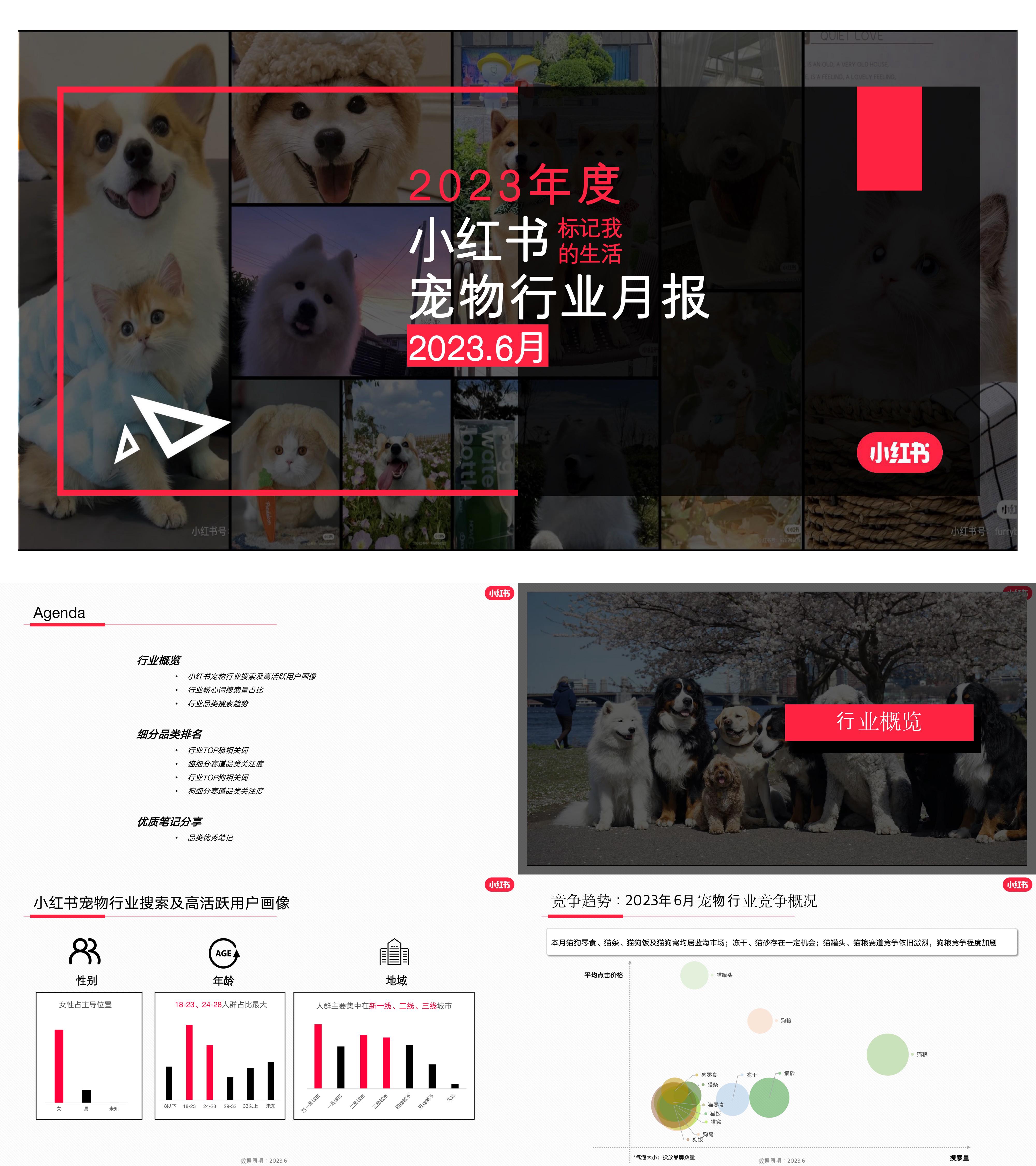 小红书小红书2023年6月宠物行业月报报告