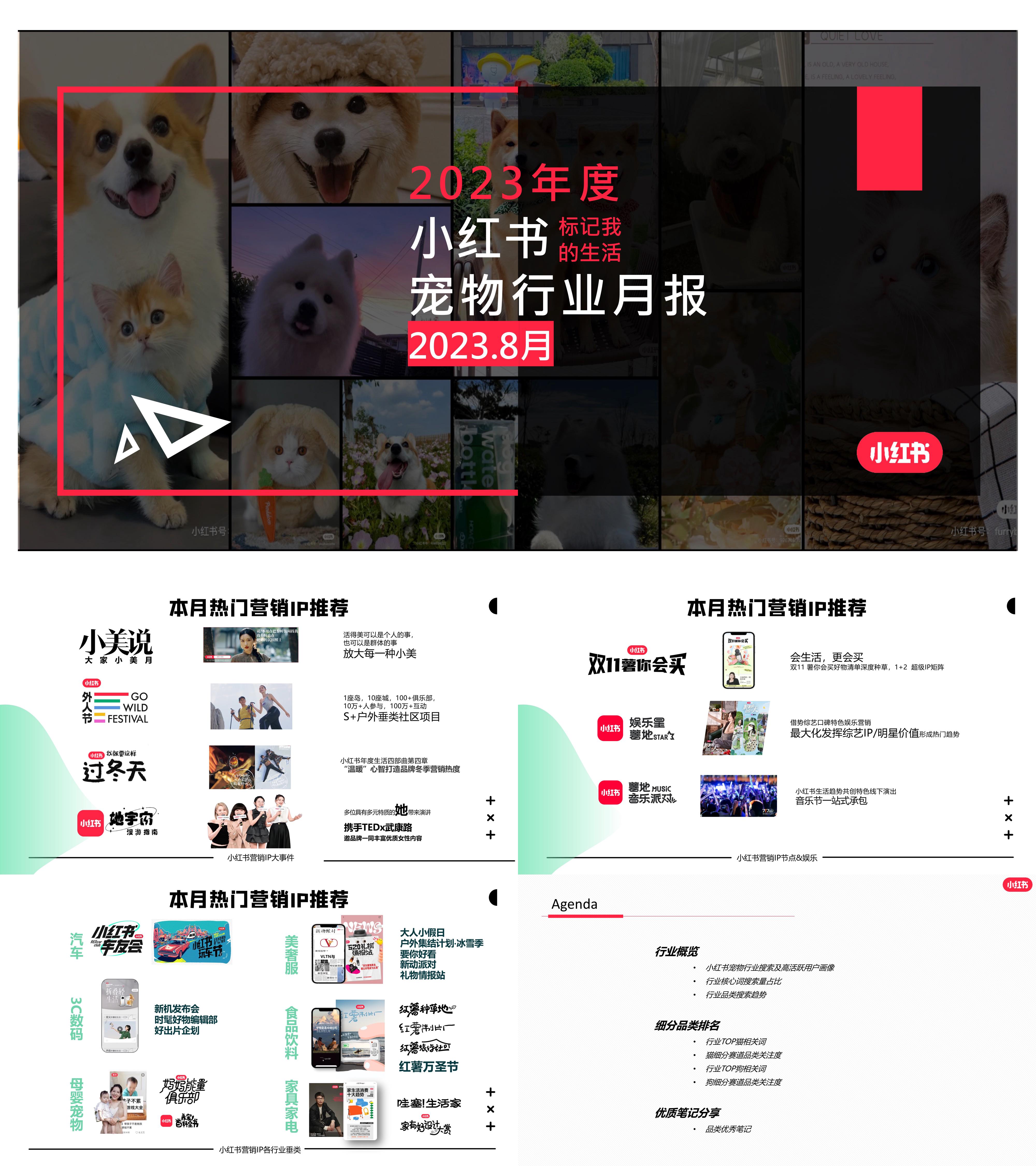 小红书小红书2023年8月宠物行业月报报告