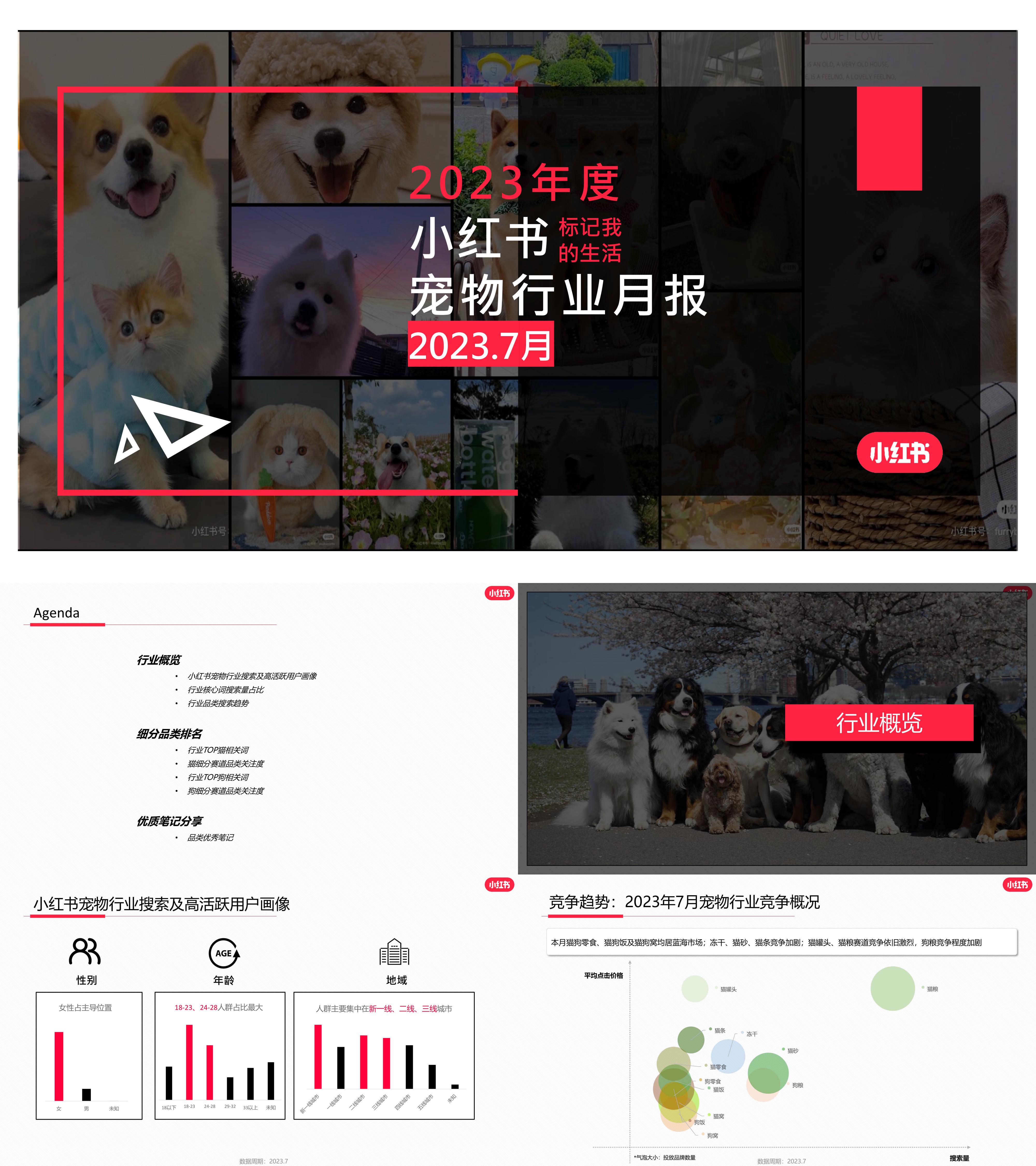 小红书2023年宠物行业月报7月