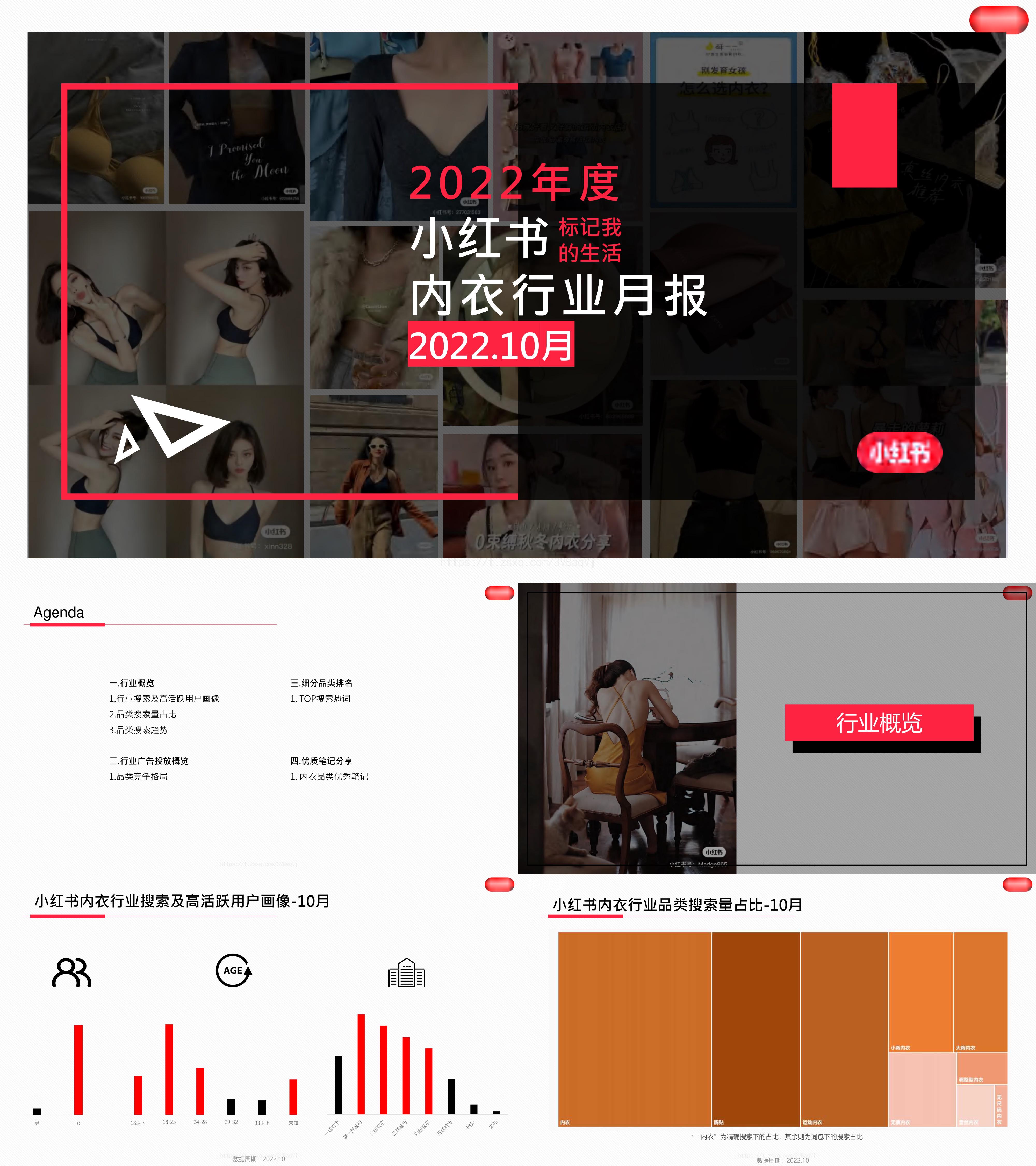 小红书内衣行业月报10月报告