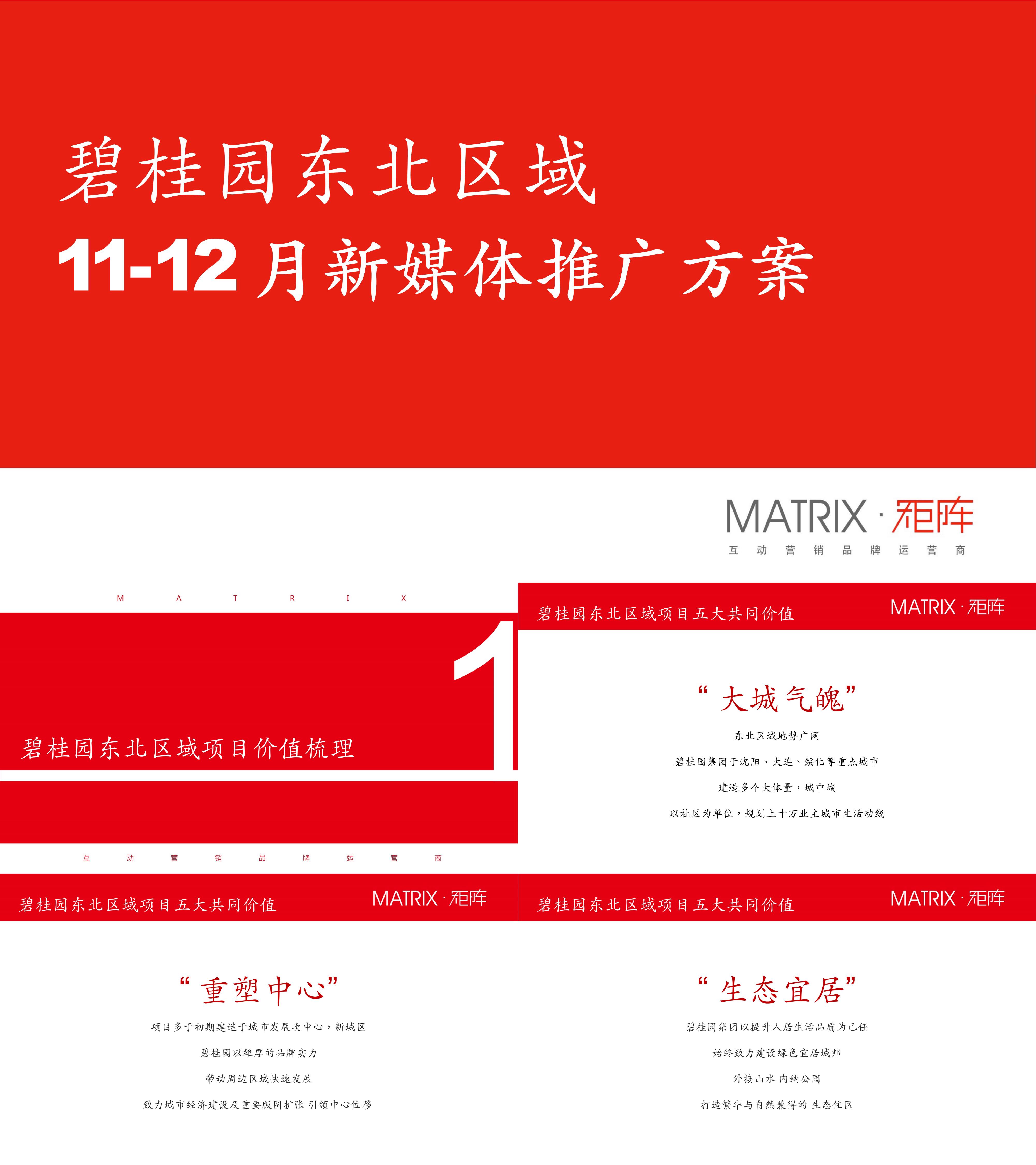 沈阳碧桂园1112月新媒体推广方案