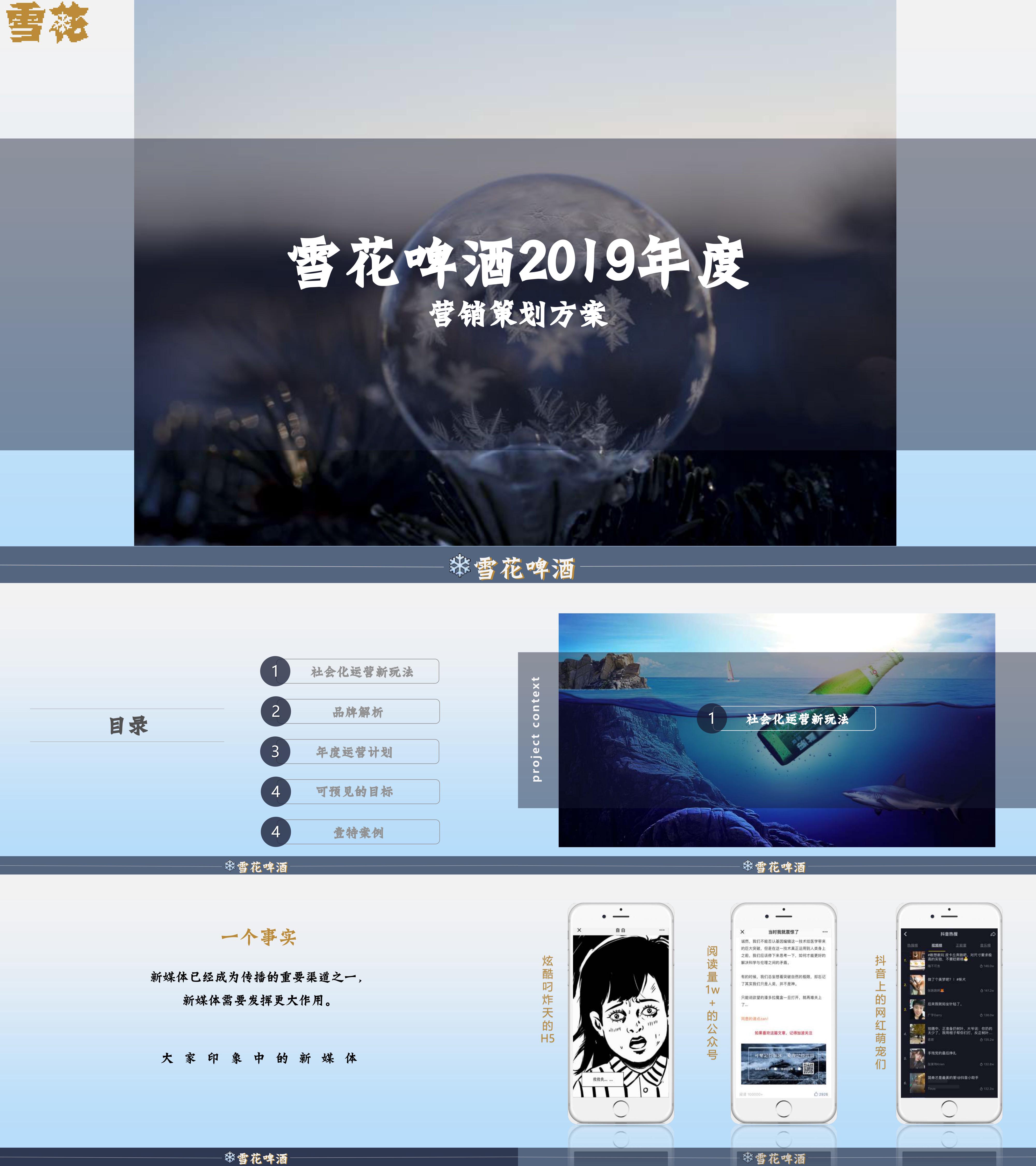 陈婷夫雪花啤酒2019年度营销策划方案