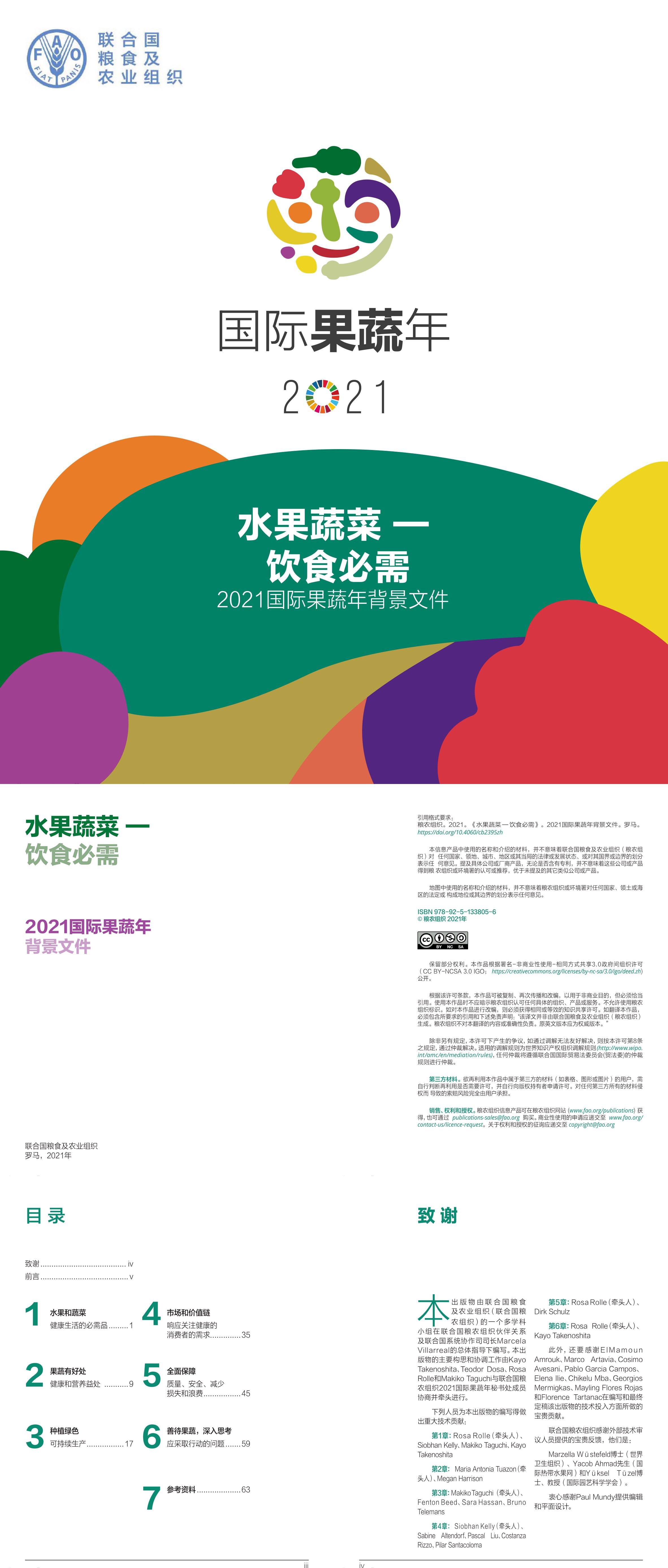 农业国际果蔬年背景文件水果蔬菜饮食必需联合国粮食及农业组织