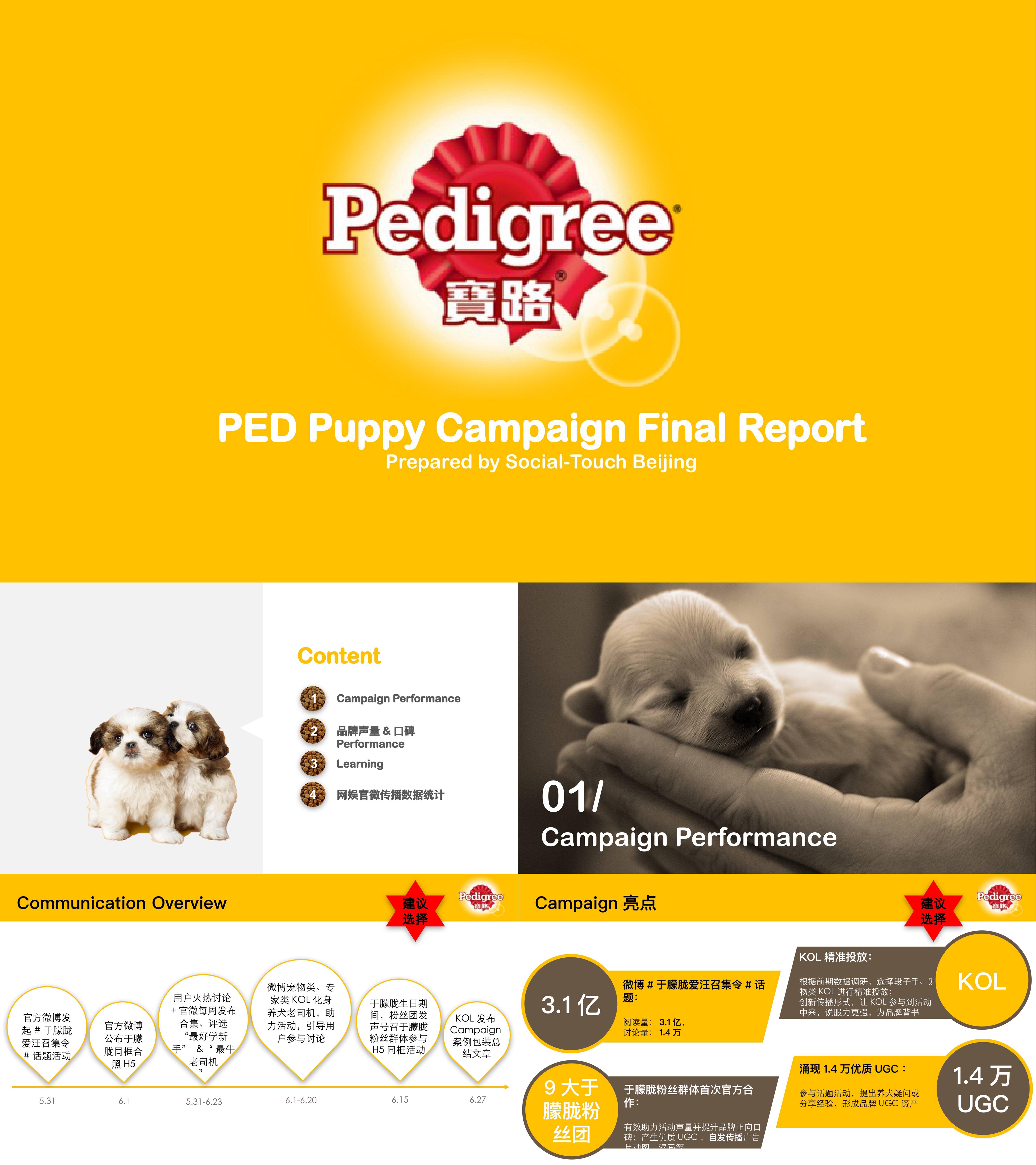 Puppy Caign Final Report