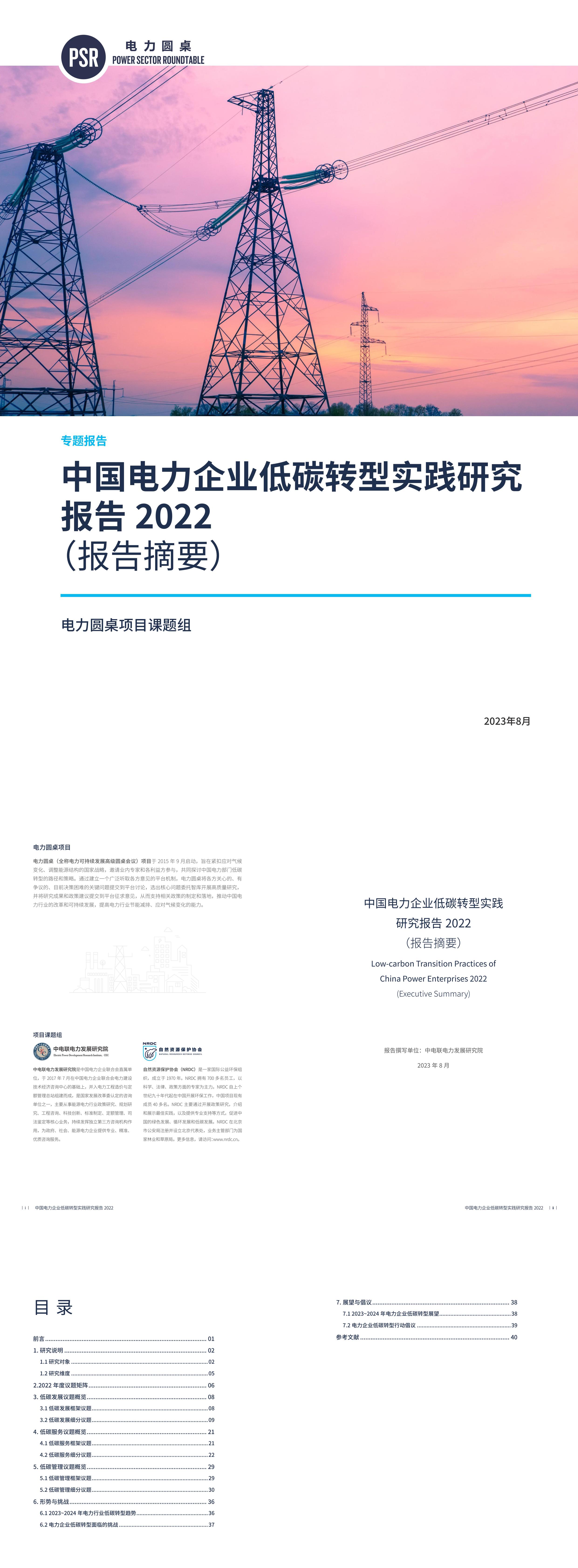 自然资源保护协会中国电力企业低碳转型实践研究报告2022