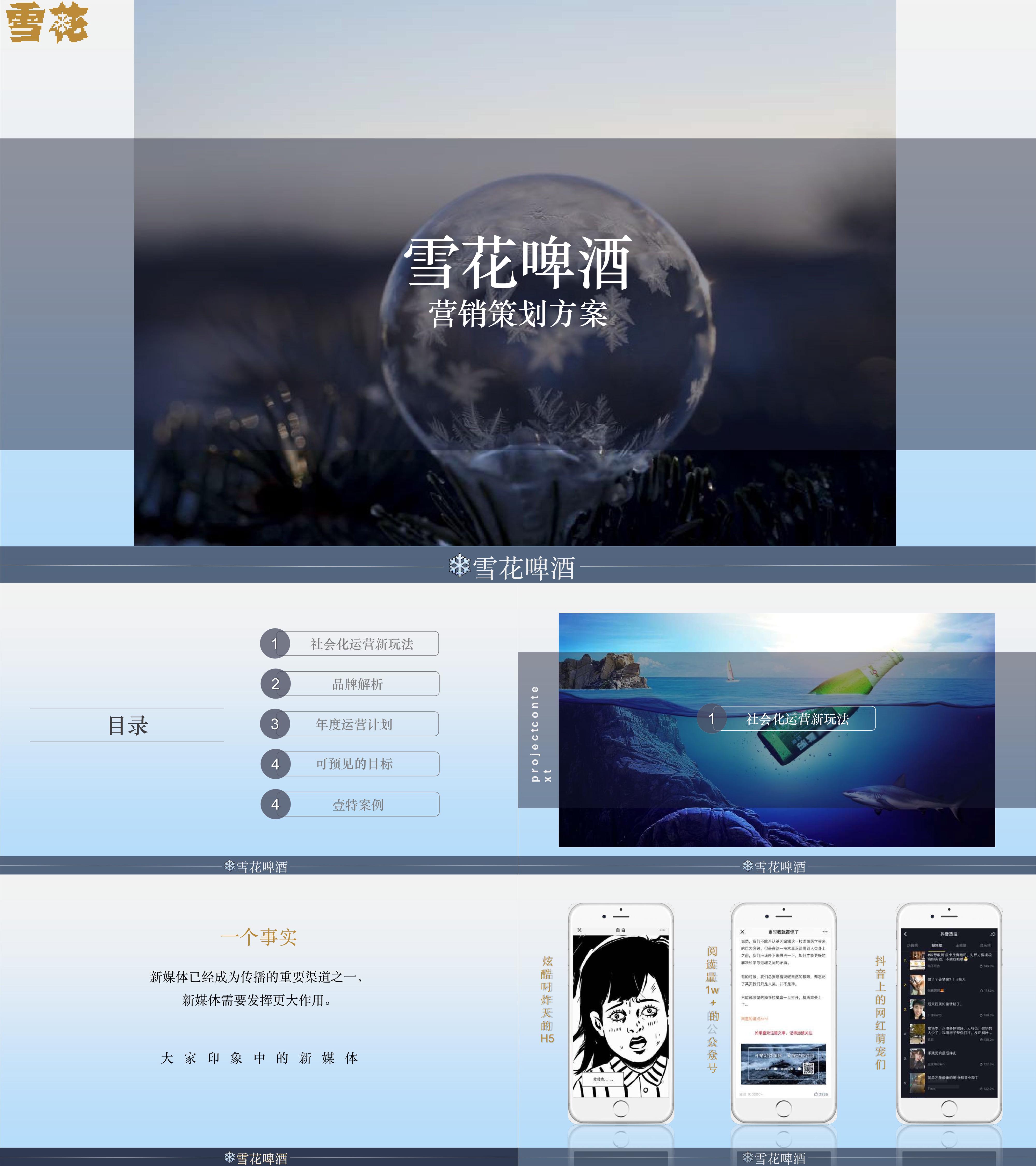 雪花啤酒营销策划方案