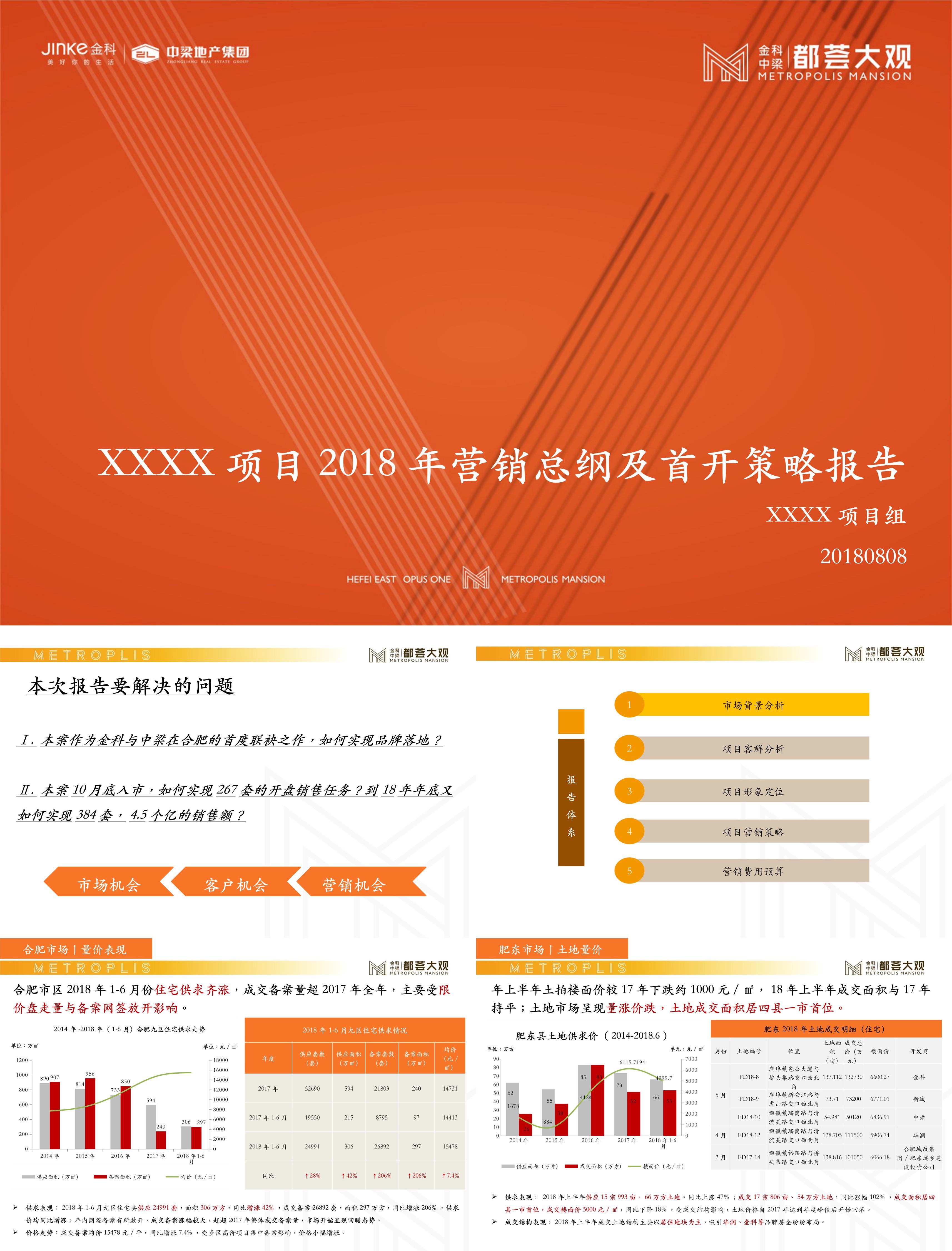 合肥都荟大观营销策略报告