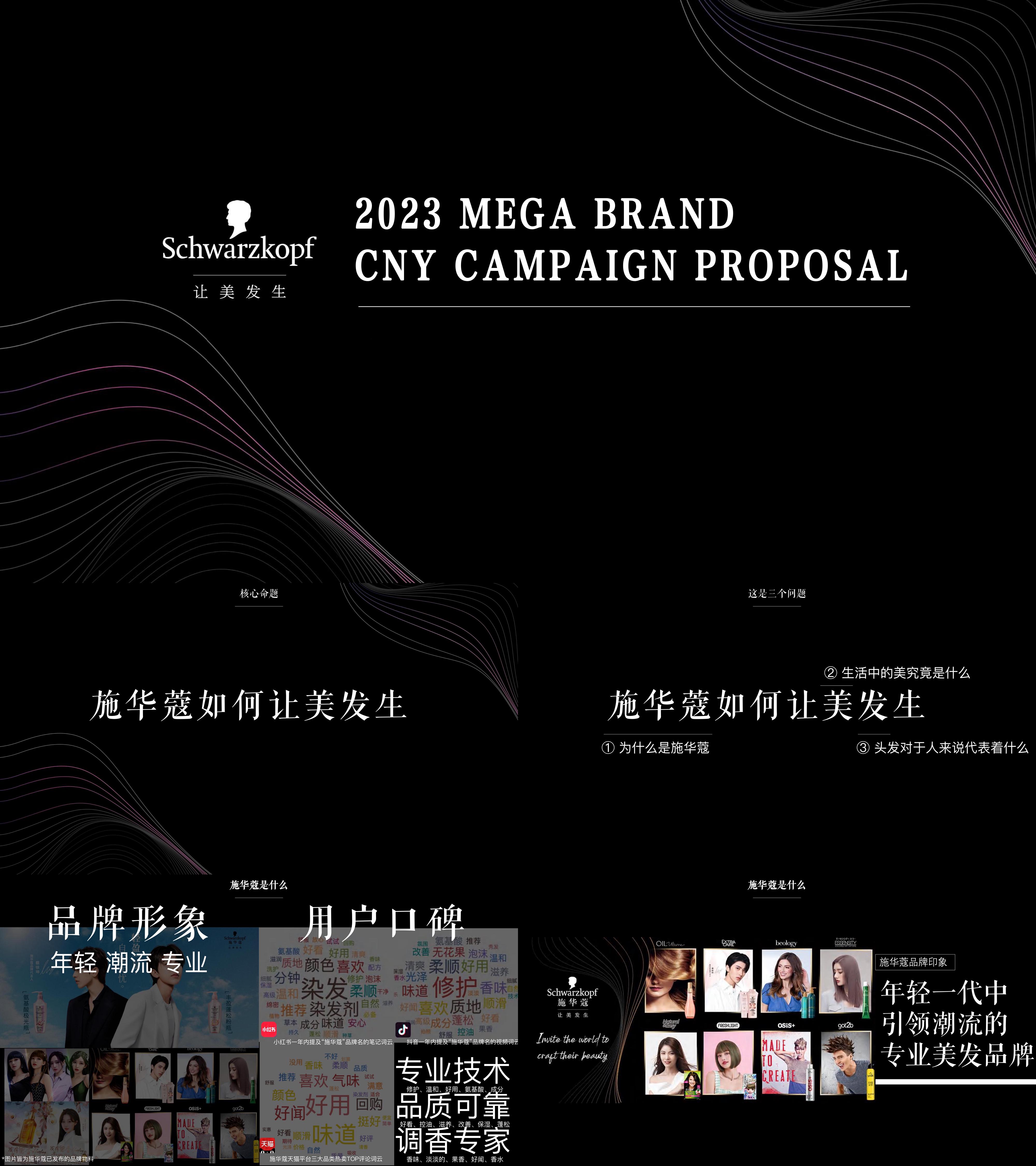 2023施华蔻高端洗发水品牌CNY传播规划方案