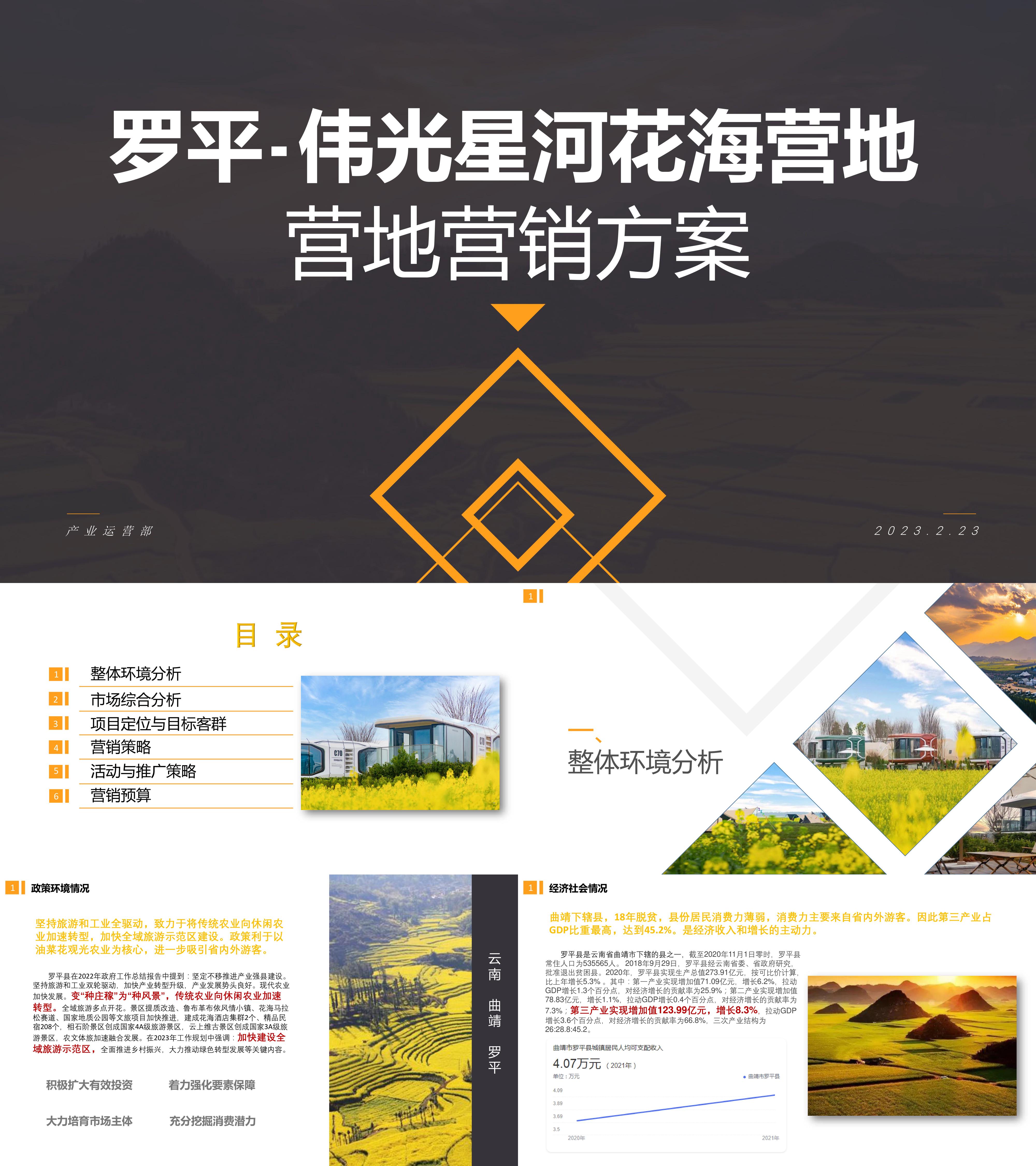 2023乡村文旅项目罗平县星河花海营地营销方案