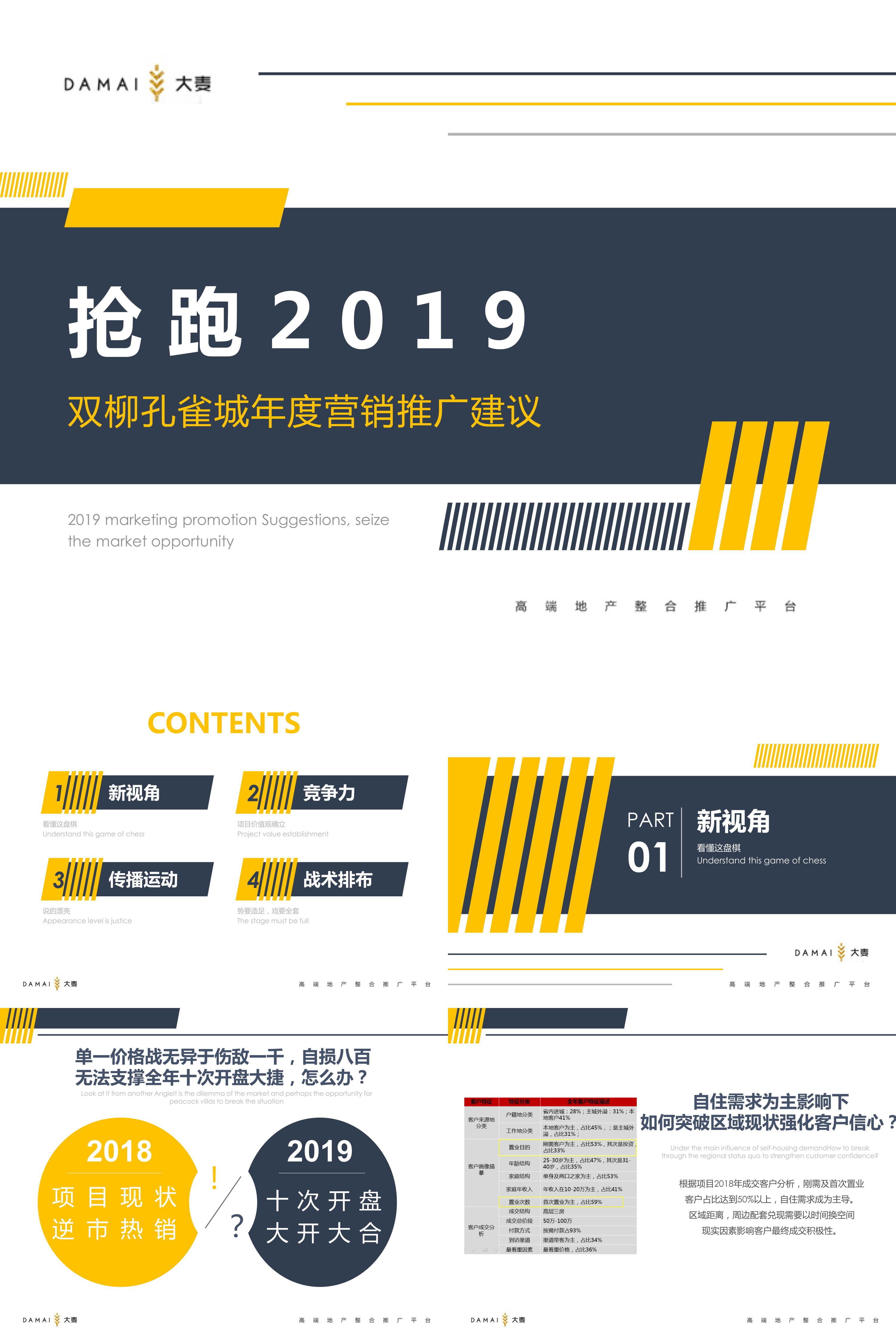 2019武汉孔雀城年度推广提报