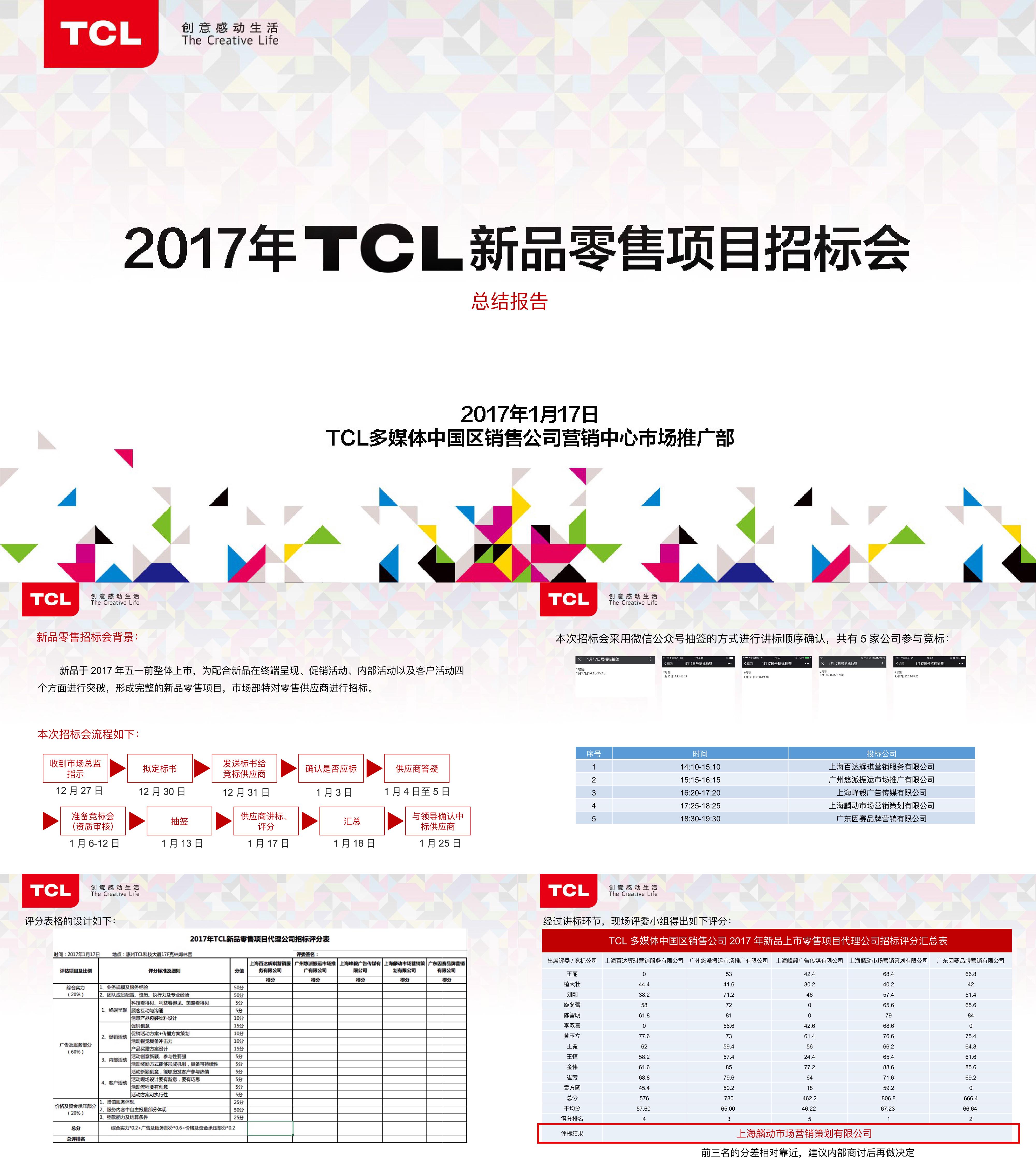 TCL新品零售项目招标会总结报告