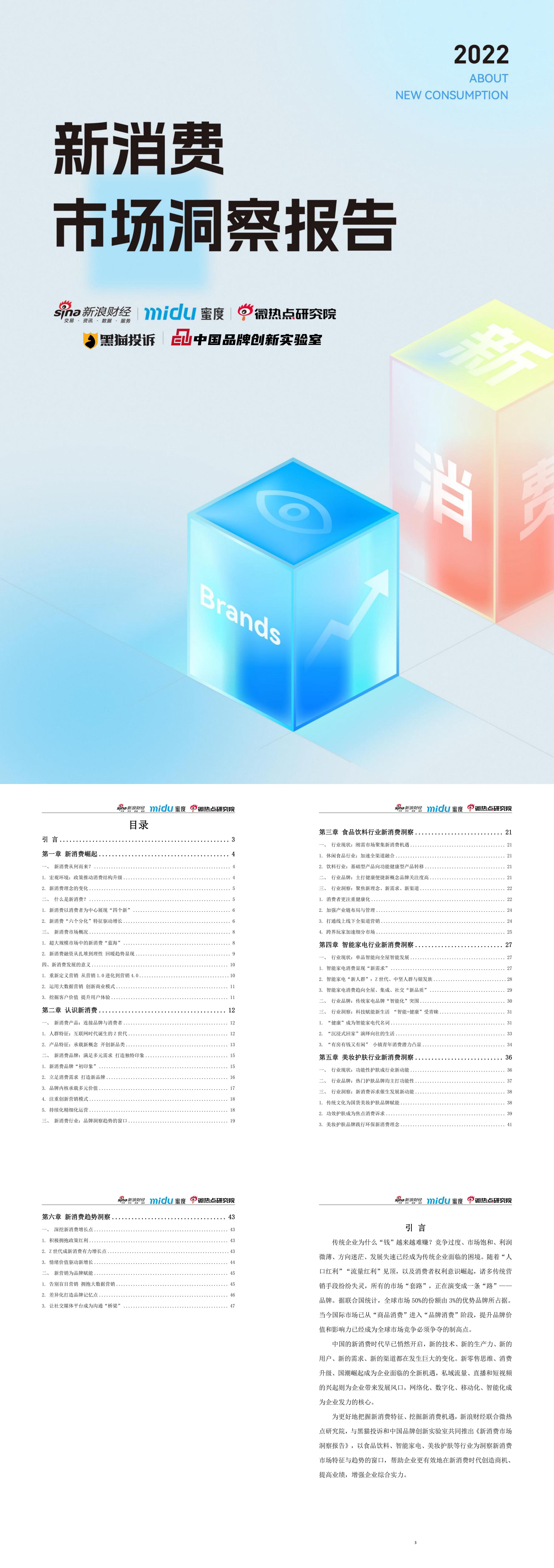 新消费市场洞察报告蜜度x新浪财经