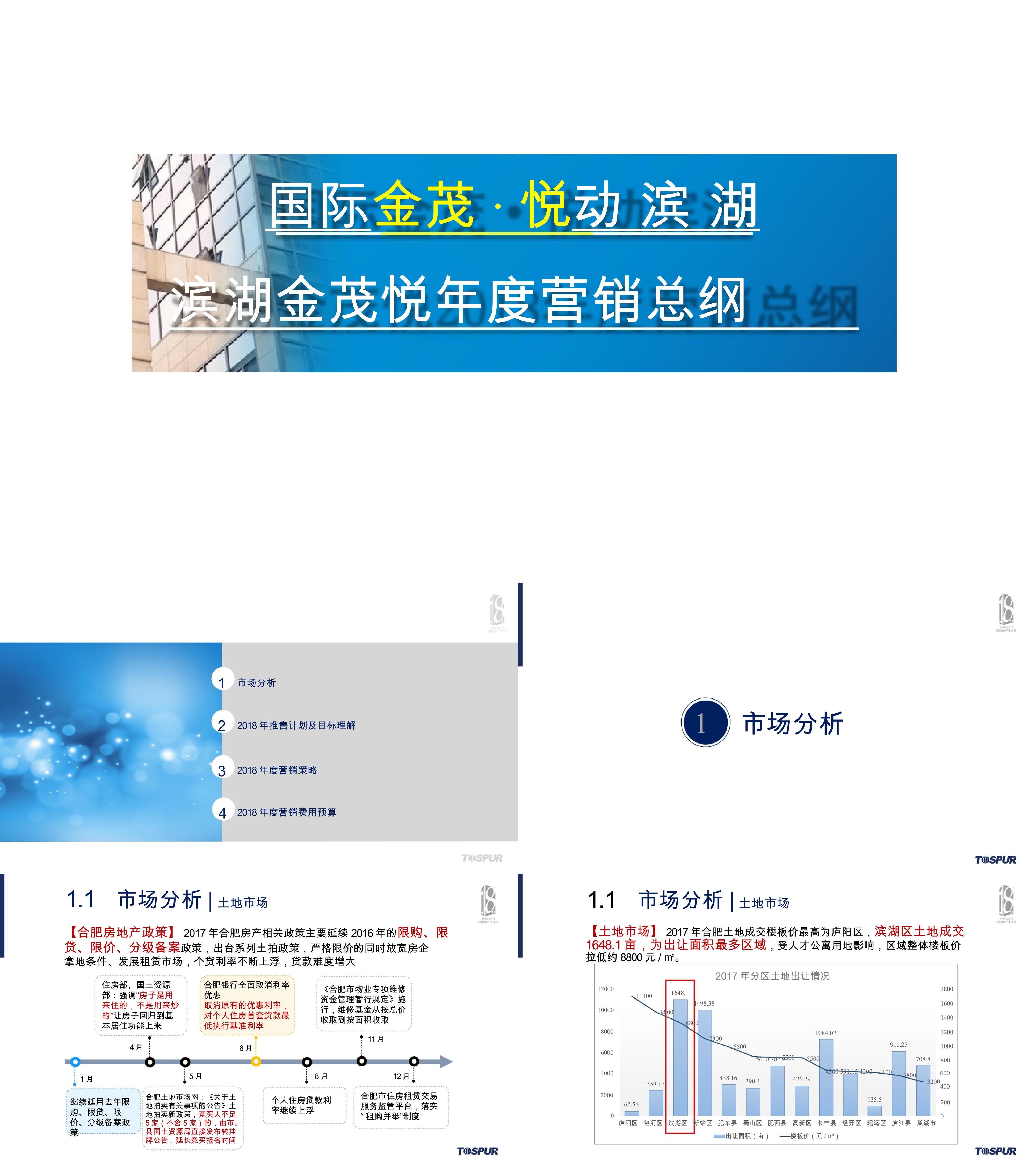 合肥金茂悦年度营销总纲方案