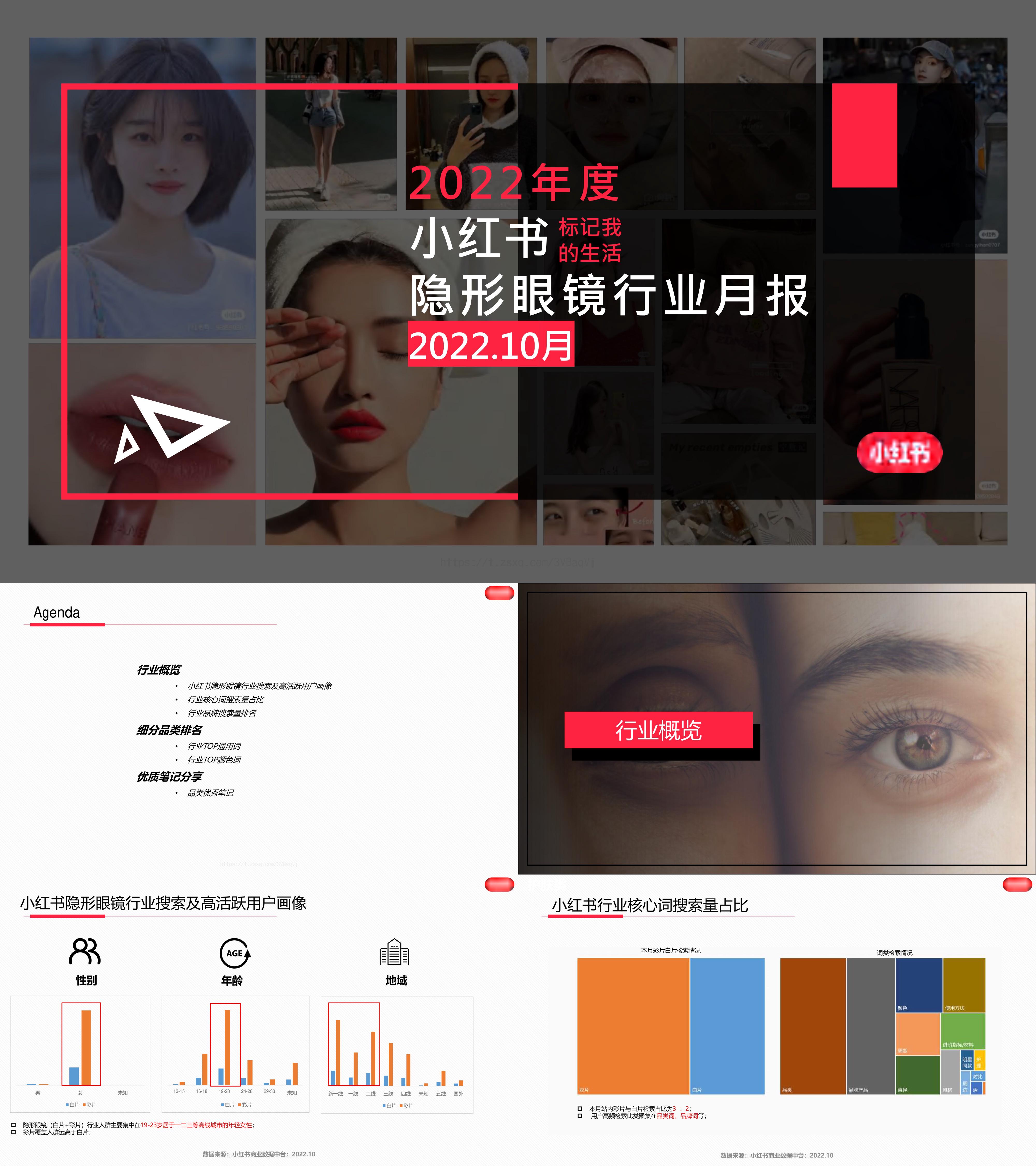 小红书隐形眼镜行业月报10月报告