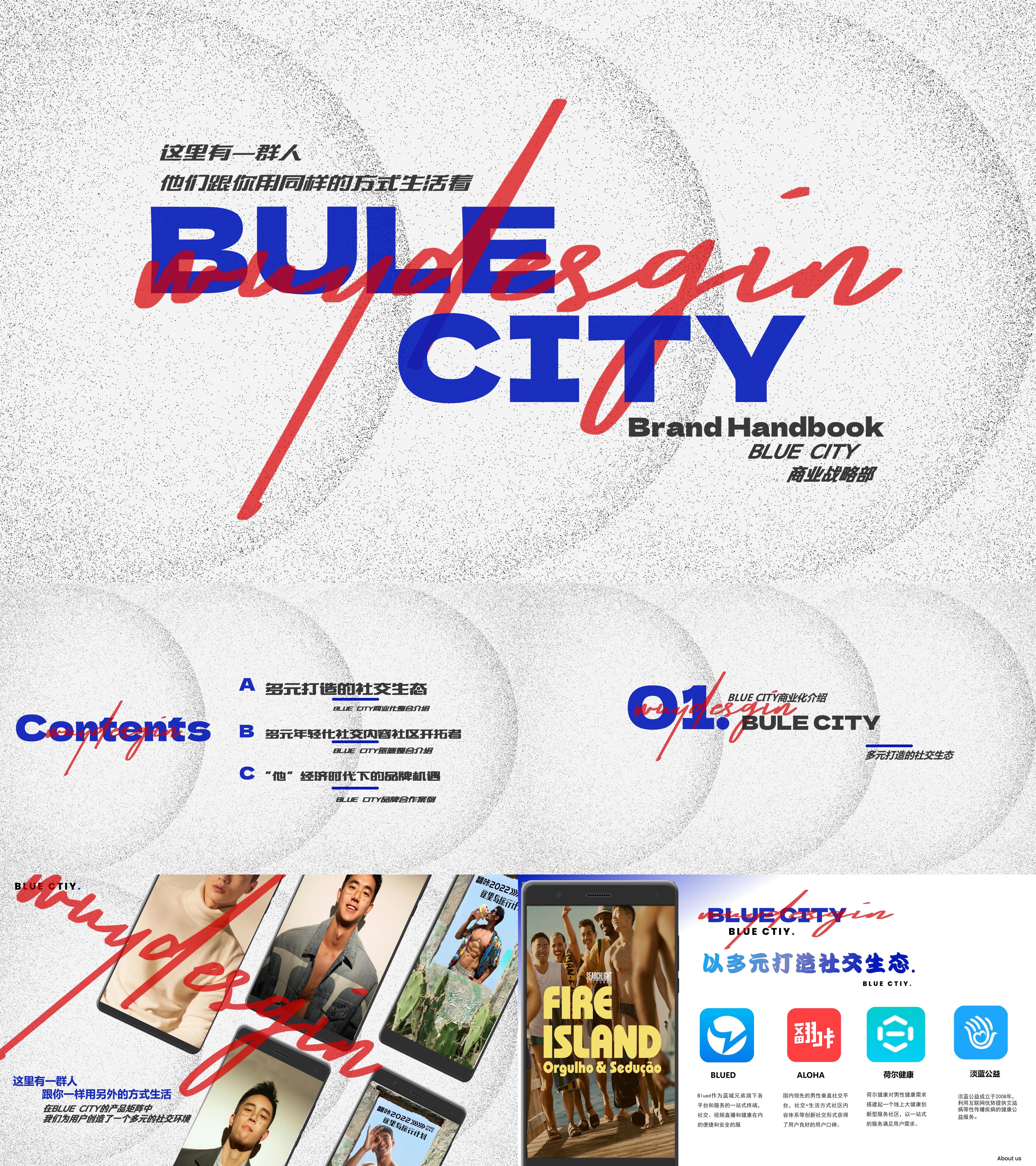 BLUECITY品牌手册简要版