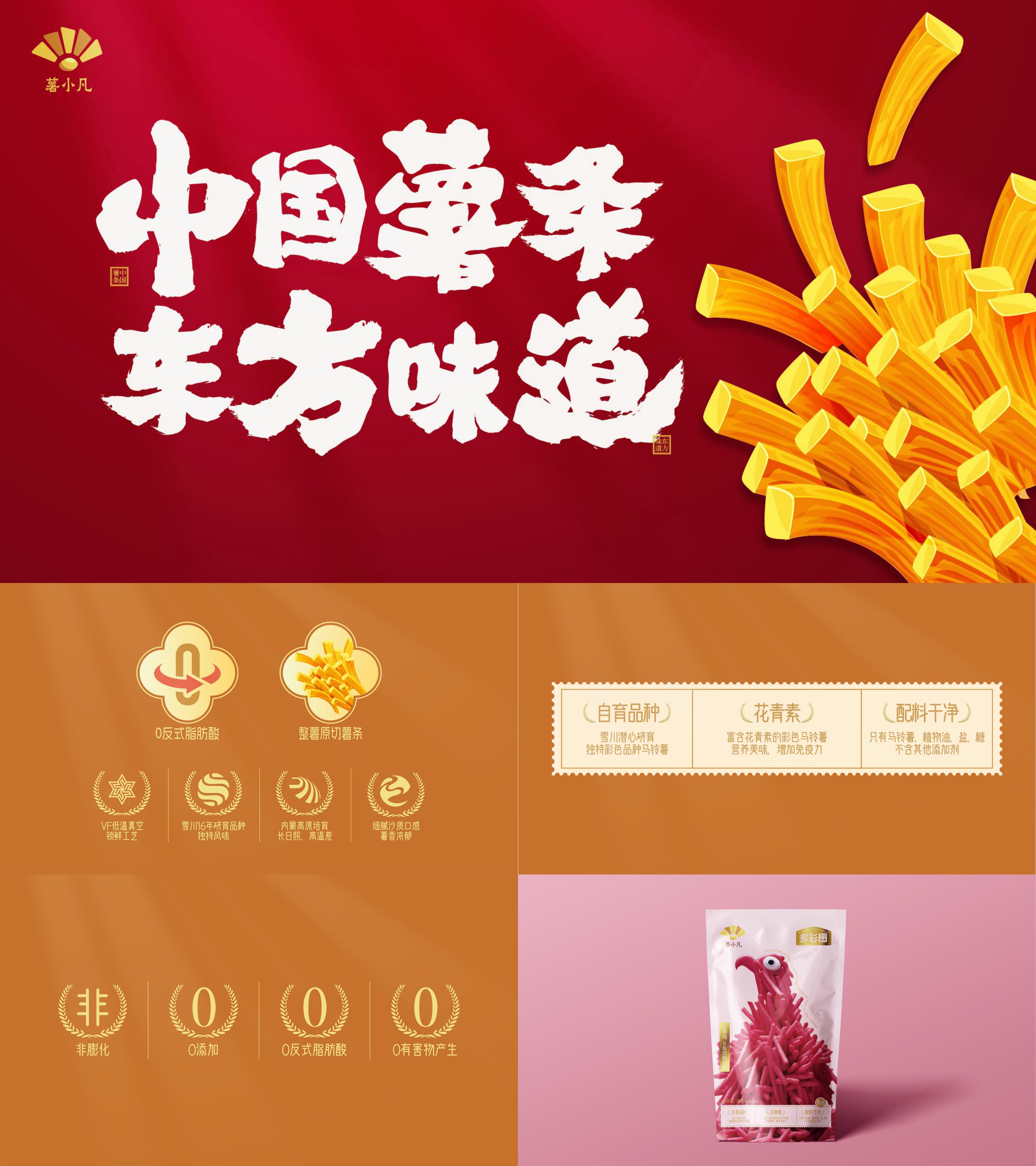 中国薯条东方味道快消零食产品推广方案