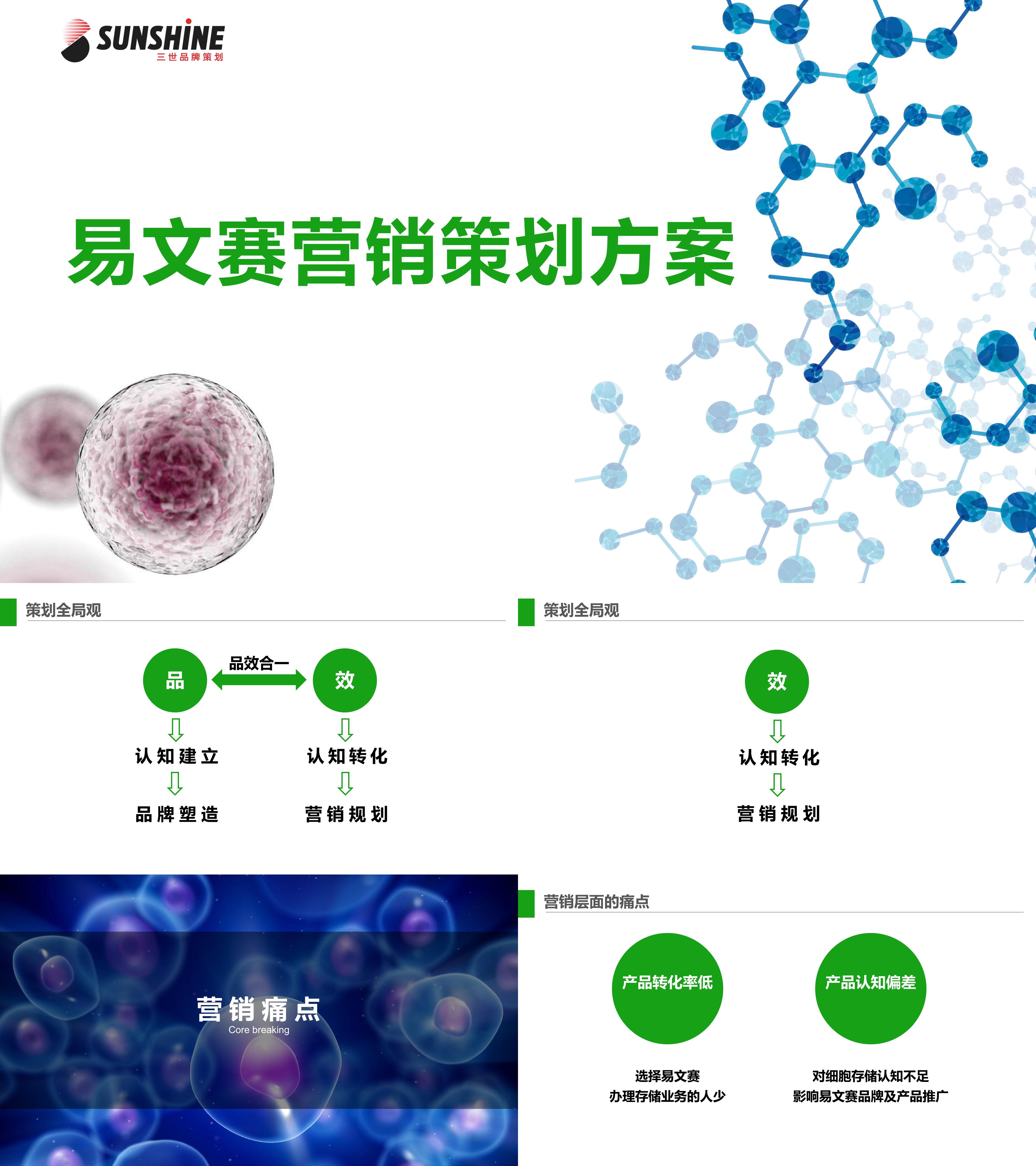 易文赛营销策划方案