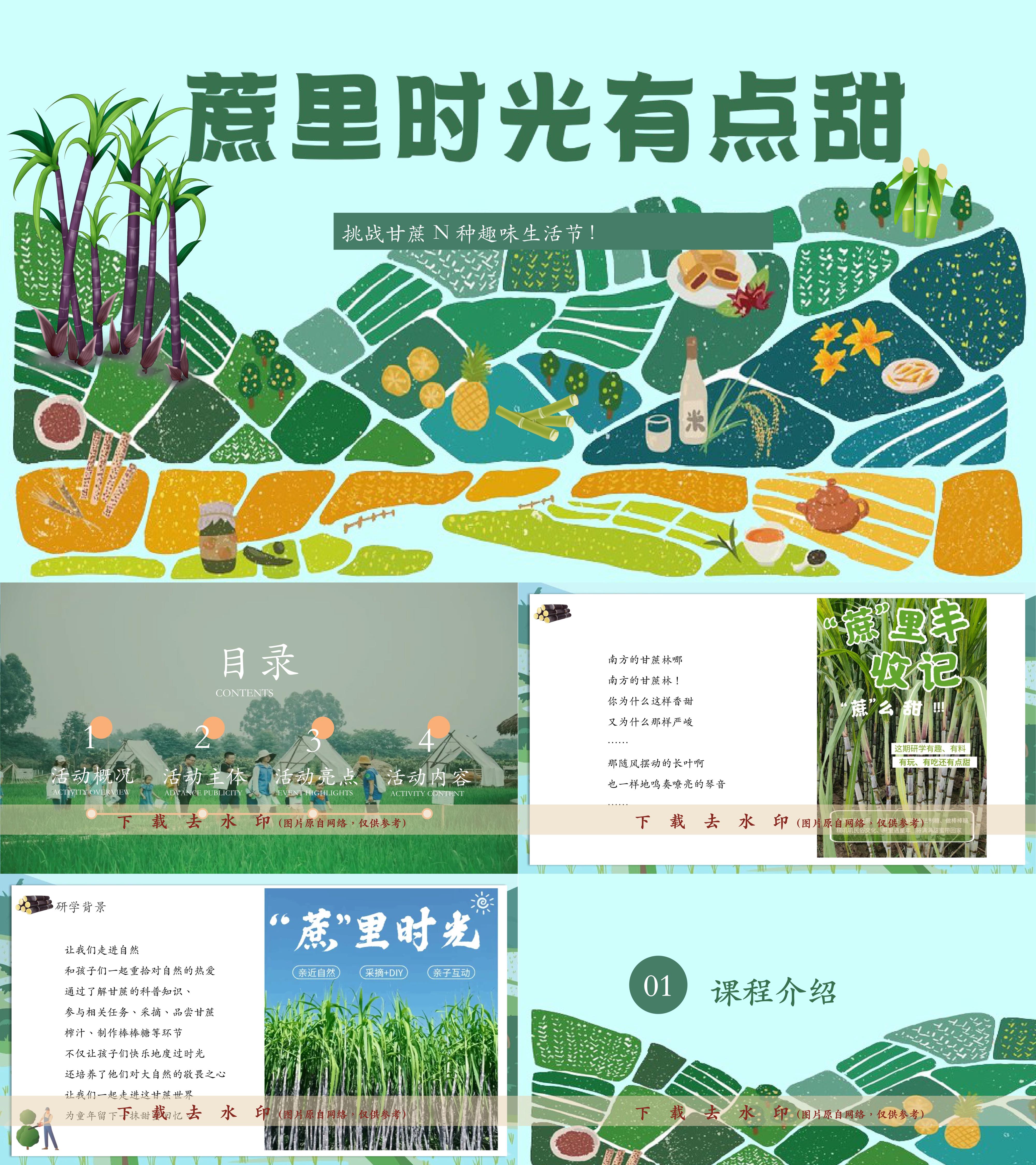 2025甘蔗水果采摘主题趣味生活节农业研学体验活动方案