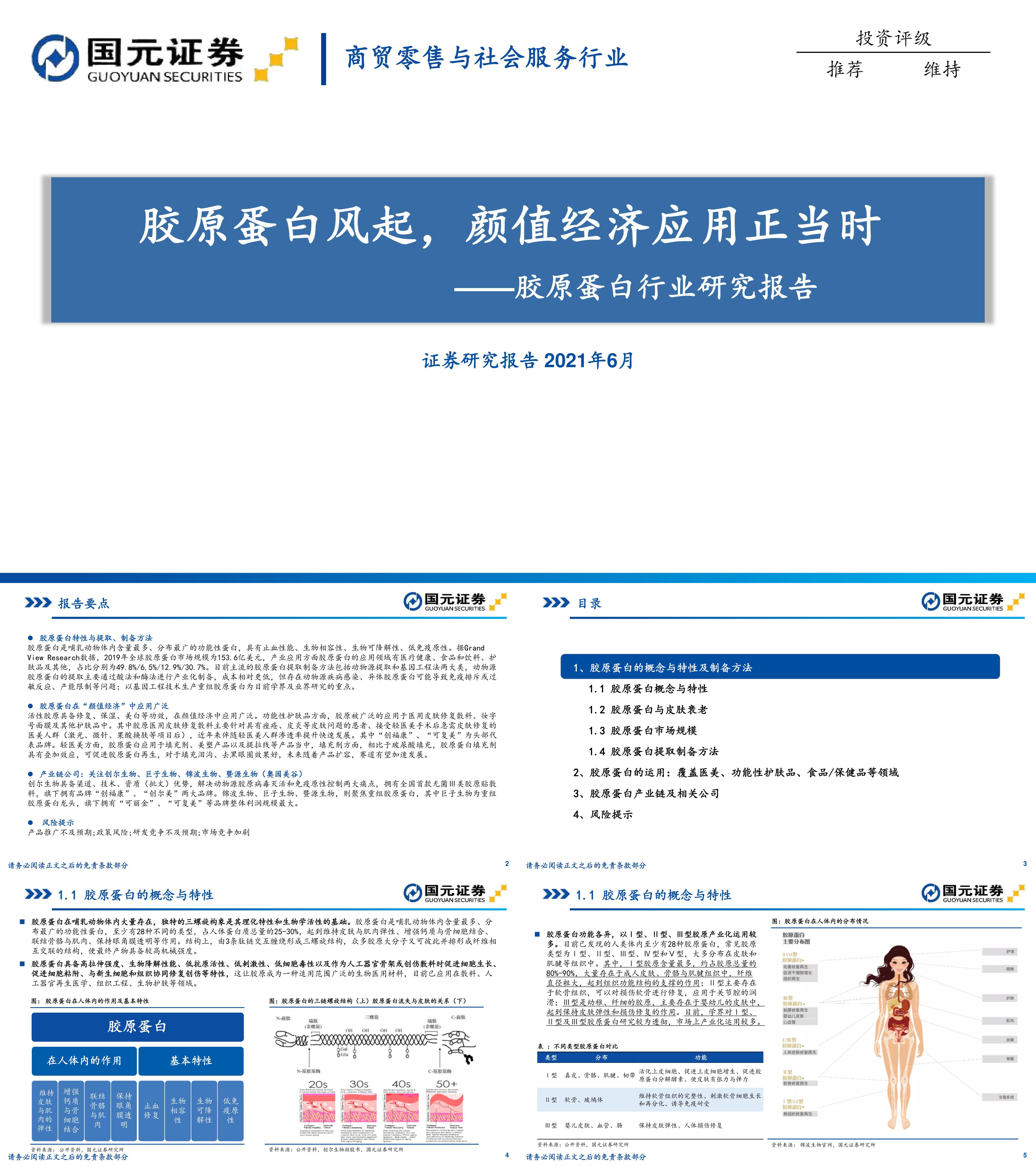 胶原蛋白行业研究报告国元证券